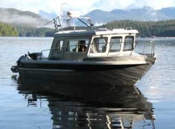 Clayoquot Wild
